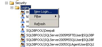 Right Click On Security Node and Select New Login
